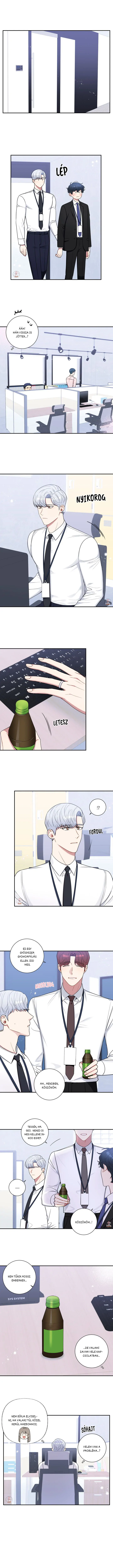 53355886 720 10000 320548