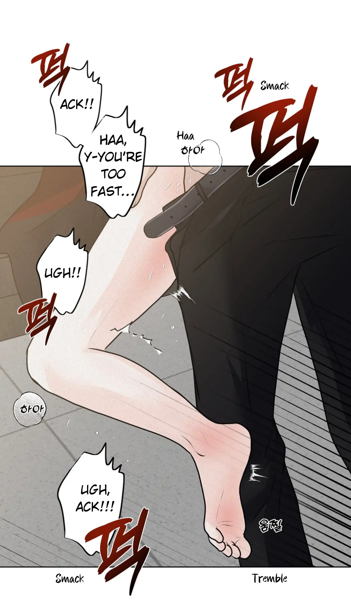 36206629 1125 1966 85958